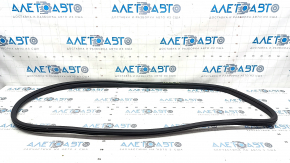 Door seal rear left Hyundai Elantra 21-23