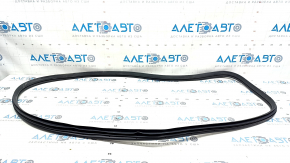 Door seal rear left Hyundai Elantra 21-23