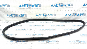 Door seal rear right Hyundai Elantra 21-23