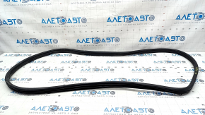 Door seal front left Hyundai Elantra 21-23