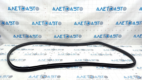 Door seal front left Hyundai Elantra 21-23