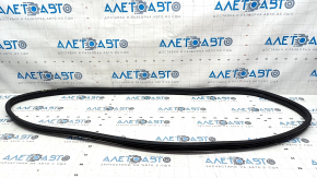 Door seal front right Hyundai Elantra 21-23