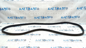 Hyundai Elantra 21-23 Trunk Lid Seal