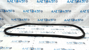 Hyundai Elantra 21-23 Trunk Lid Seal