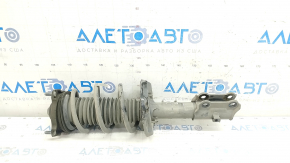 Shock absorber strut assembly front right Hyundai Elantra 21-23 under R15, R16