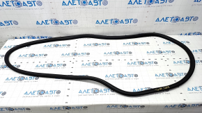 Door seal front left Ford Explorer 20 - worn