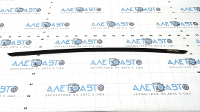 Windshield molding right Ford Explorer 20-