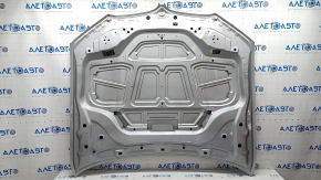 Bare hood BMW X3 G01 X4 G02 18- aluminum, silver A83, sand, poke