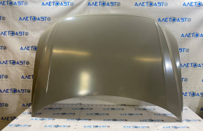 VW Tiguan 18 bare hood - steel butt