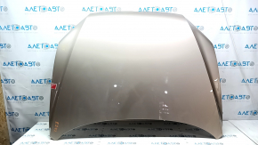 Naked hood VW Passat b7 12-15 USA beige LA1X, steel