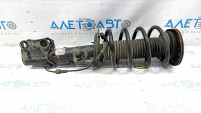 Shock absorber strut assembly front left Lincoln Nautilus 19-23 electric AWD