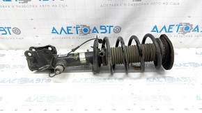 Shock absorber strut assembly front right Lincoln Nautilus 19-23 electric AWD