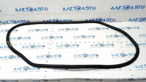 Door seal rear right Lincoln Nautilus 19-23