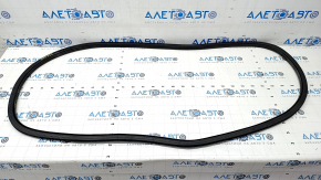 Door seal front left Lincoln Nautilus 19-23 worn