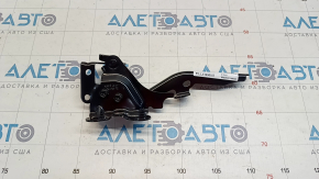 Hood hinge right Lexus RX350 RX450h 10-15 TW