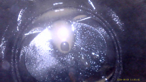 VW Tiguan 18-20 2.0 TFSI DGUA 47k engine started, 10-10-10-10, without oil level sensor