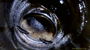 Hyundai Sonata 15-19 2.4 G4KJ 28k engine started 10-10-10-10