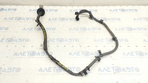 Toyota Venza 21- AWD Rear Axle Wiring