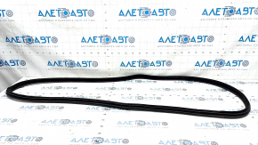 Door seal rear left BMW 5 F10 11-16