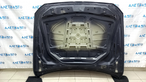 Hood bare BMW 5 F10 11-16 aluminum, black 668