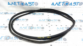 Rear left door seal BMW 5 F10 11-16