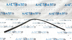 BMW 5 F10 11-16 rear left door seal lower