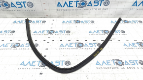 BMW 5 F10 11-16 rear right door seal lower