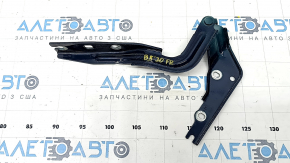 Right hood hinge VW Passat 20-22