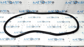 Door seal rear left VW Passat 20-22