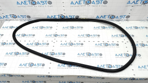 Door seal rear right VW Passat 20-22
