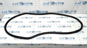 Door seal front left VW Passat 20-22 scratches