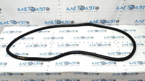 Door seal front right VW Passat 20-22