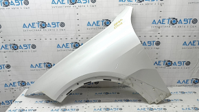 Front left wing BMW X7 G07 19- white A96, dent