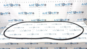 Door seal rear left BMW X7 G07 19-