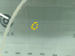Windshield Honda HR-V 16-22 VITRO, sand, air on the edge