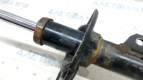 Shock absorber front right Lexus RX450h 10-15 rusty