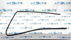 Soundproofing panoramic seal BMW X7 G07 19-