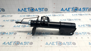 Shock absorber front left Ford Mustang mk6 15- RAISO