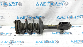 Shock absorber strut assembly front left Toyota Rav4 19- hybrid AWD