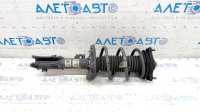 Shock absorber strut assembly front right Hyundai Elantra AD 19-20