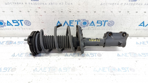 Shock absorber strut assembly front left Hyundai Elantra AD 19-20