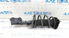 Shock absorber strut assembly front left Hyundai Elantra AD 19-20