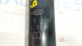 Shock absorber rear right Hyundai Elantra AD 19-20 with support, dented