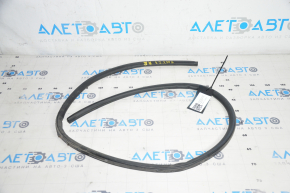 Tesla Model Y 20-25 Rear Right Door Seal