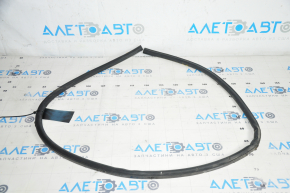 Tesla Model Y 20-25 Rear Right Door Seal
