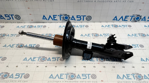 Shock absorber front right Toyota Rav4 19- 2.5