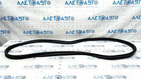 Ford Fusion mk5 13-20 trunk lid seal tear