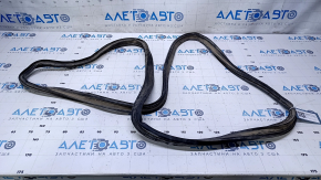 Kia Optima 11-15 trunk lid seal tear