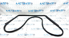 Door seal rear left Kia Niro 17-22 tears