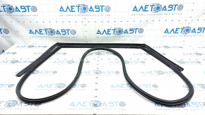 Door seal rear left Kia Niro 17-22 tears
